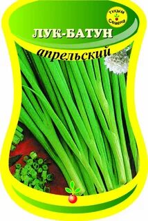 Лук батун название 7