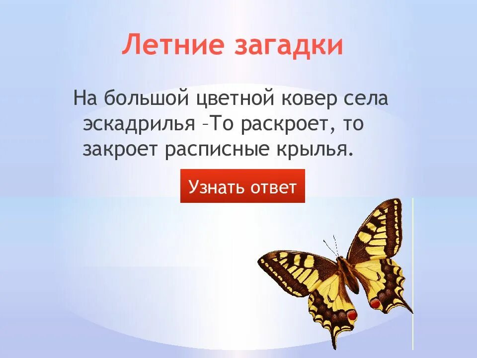 Два крыла загадка. Летние загадки. загадки про лето. на большой цветной ковер села эскадрилья загадка. загадки о лете.
