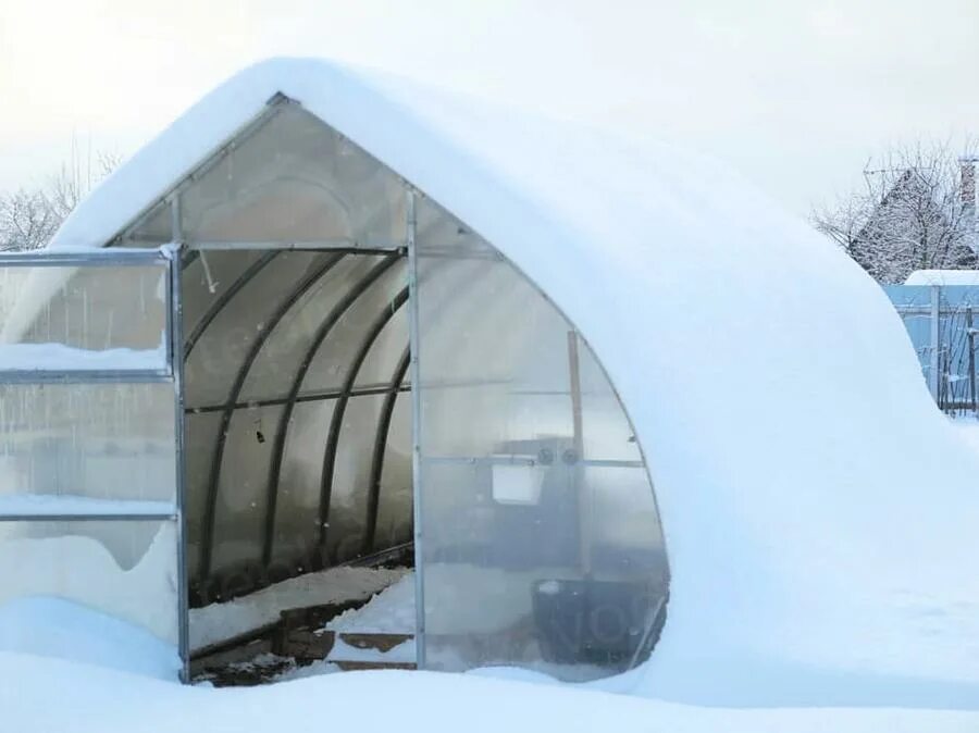 Теплица зимой. Теплица в снегу. Теплицы зимние и весенние. Теплица из поликарбоната зимой. Подготовка теплицы весной.