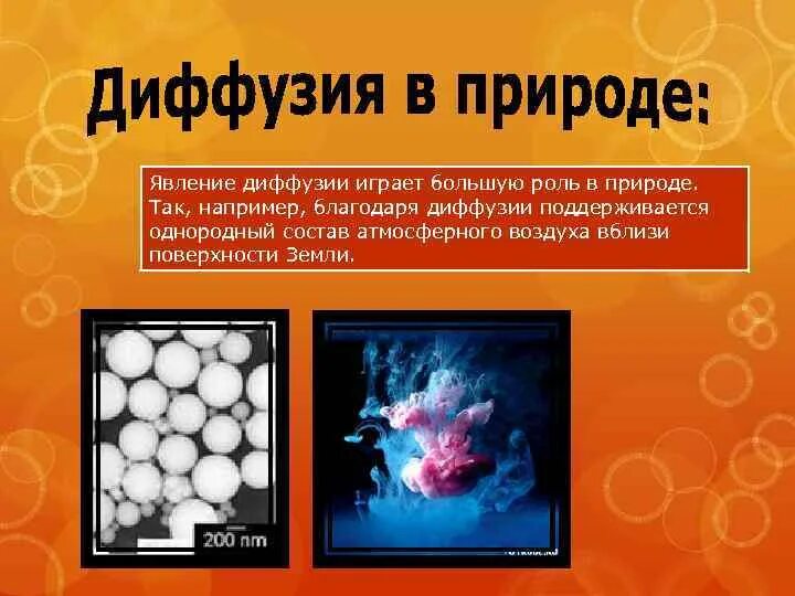 Явление диффузии доказывает ответ. Явление диффузии. примеры диффузии. роль диффузии в природе. диффузия в природе.