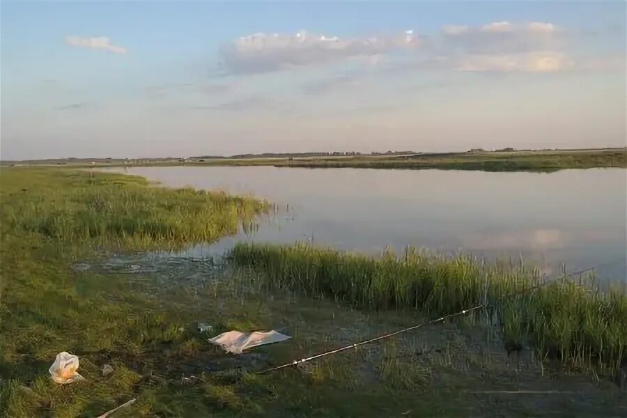 Шилово курья. Село студёное Новосибирская область. Чернокурья Карасукский район. Рыбалка Благодатное Карасукский район. Студеное Карасукский район.