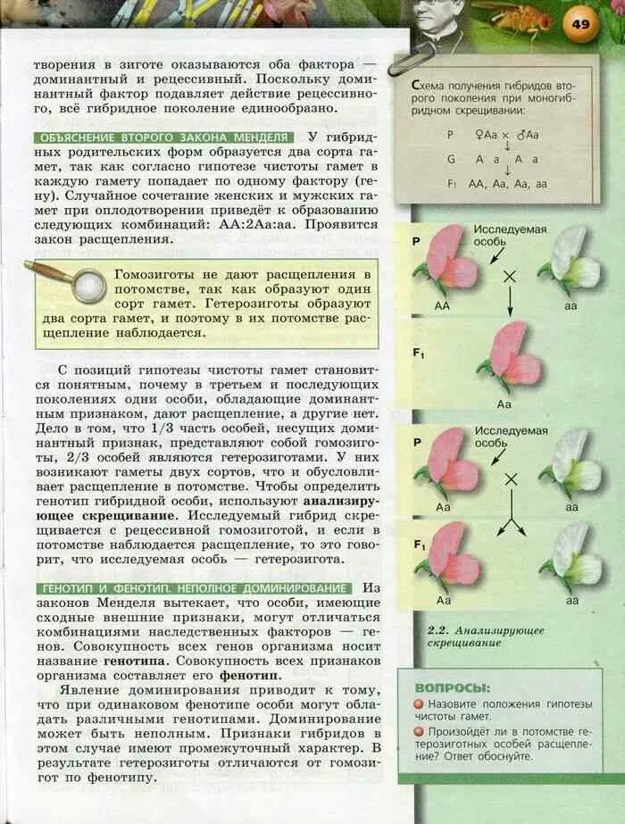 Учебник биологии 8 сухорукова. Биология 10 класс Сухорукова Кучменко. Биология 10 класс Сухорукова Кучменко Иванова. Биология 10-11 класс учебник Сухорукова. Учебник по биологии 10 класс Сухорукова Кучменко.