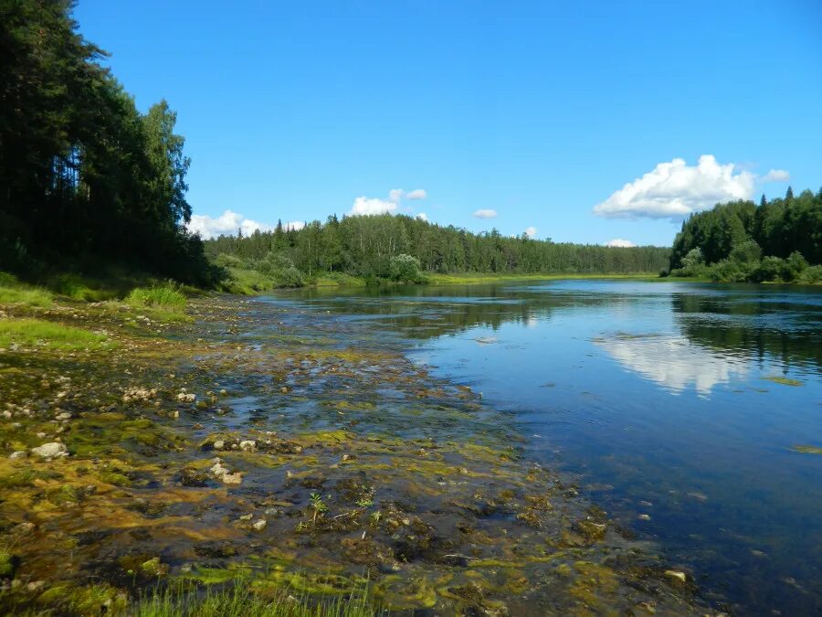 Воды рек коми. Синдорское озеро Республика Коми. Озеро Донты Республика Коми. Река Вымь Коми. Река Синдор Республика Коми.