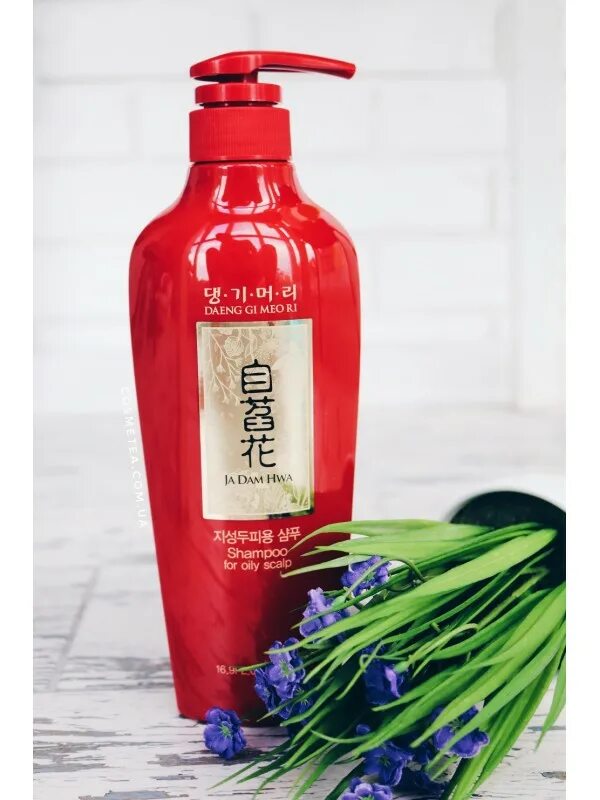 Daeng gi meo RI ja dam Hwa. Daeng gi meo RI Shampoo for oily Scalp. Daeng mi meo RI ja dam Hwa кондиционер. Шампунь для жирной кожи головы Daeng gi meo RI ja dam Hwa Shampoo for oily Scalp. Шампунь корея купить