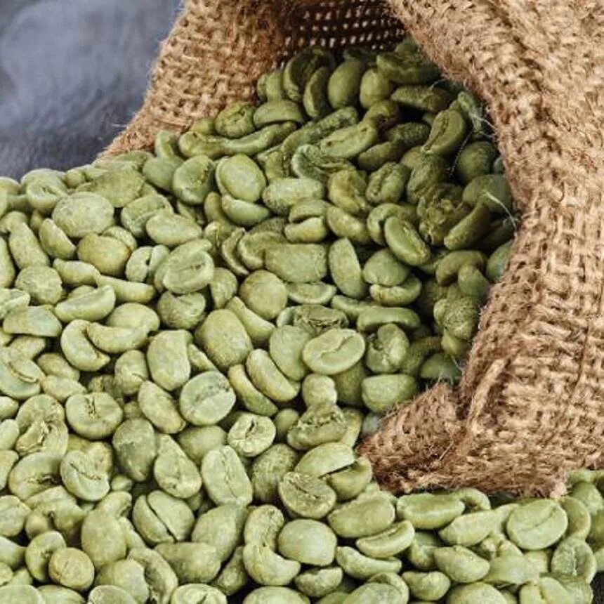 День зеленого кофе. Green Coffee Beans Arabica. Зеленый кофе Арабика Индия. Зеленый кофе в зернах. Зеленое зерно Арабика.