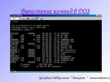 Выполнение команд операционной системы