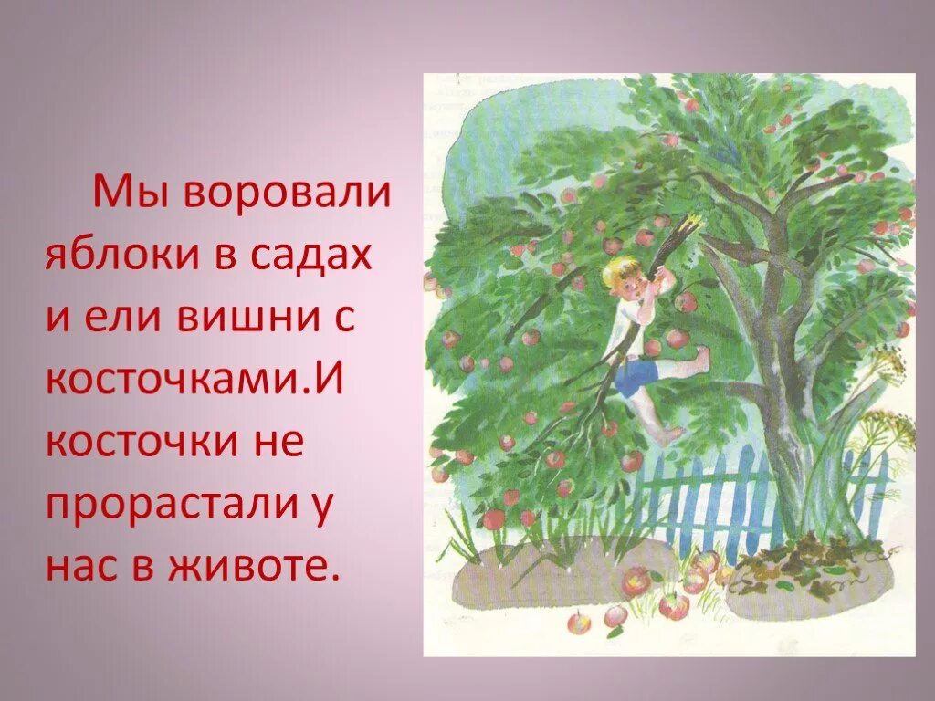 Кто воровал золотые яблоки в саду. Царский сын и его товарищи. Кто воровал золотые яблоки в саду. Кто воровал золотые яблоки в саду. Стал кто то царский сад посещать.