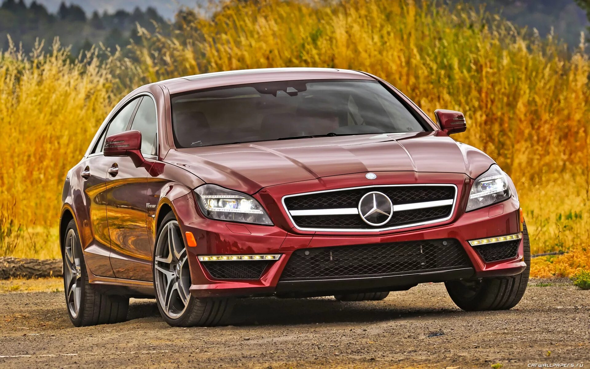 Cls. Mercedes benz cls 63 amg. мерседес бенц cls 63 amg. мерседес цлс 63 амг. мерседес cls 63 amg 2010.