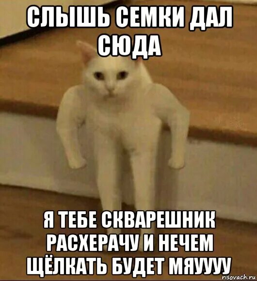 Слышь читать. Слышь мем. слышь ты мем. слышь пес. слышь пес мем.