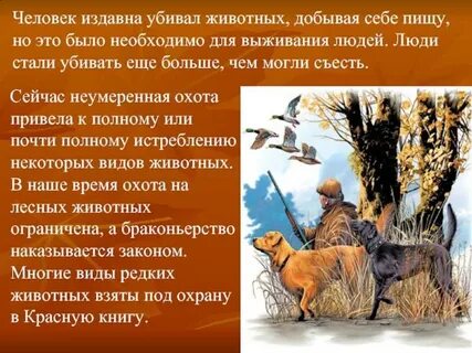 Одно из животных на которое охотились люди