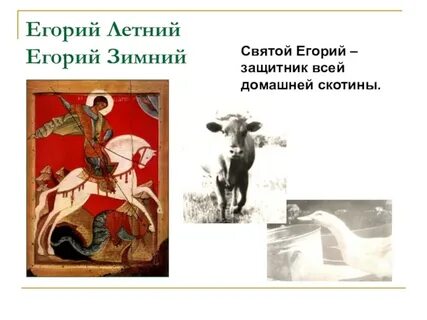 Юрьева дань