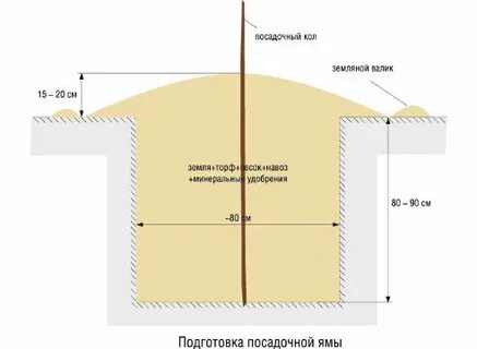 Сколько земли содержит яма диаметром