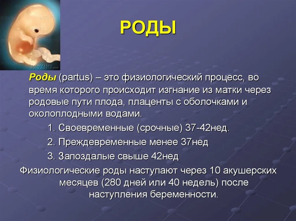 Презентация на тему физиологические роды. Роды это физиологический процесс. Физиологические и патологические роды.