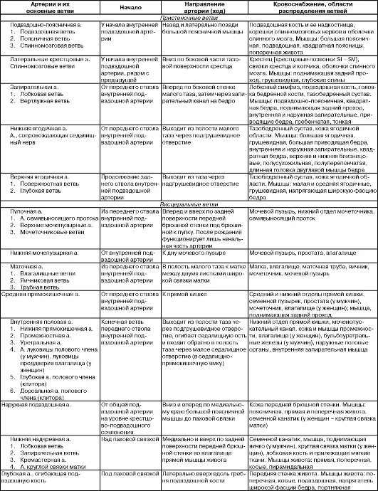Внутренняя сонная артерия и ее ветви таблица. Сонные артерии анатомия таблица. Ветви наружной и внутренней сонной артерии таблица. Брюшная часть аорты таблица. Ветви общей сонной артерии таблица.