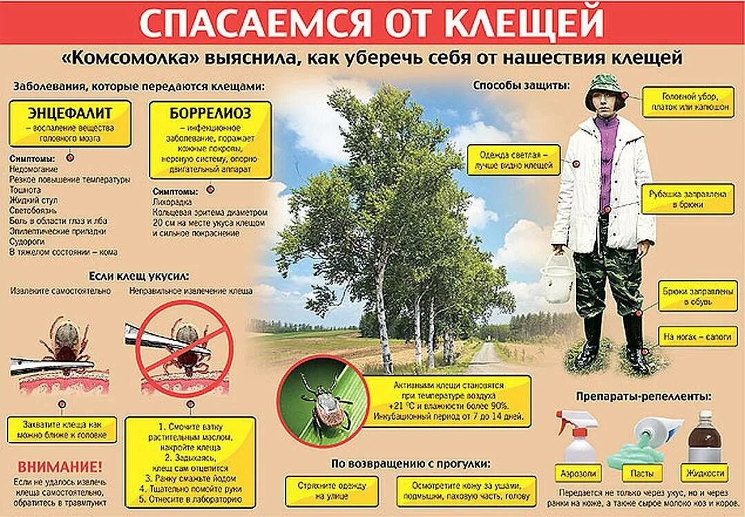 Обработка участка от клещей безопасная для животных. Защититься от клещей. способы защиты от клеща. профилактические меры для защиты от клещей. способы защиты от укусов клещей.