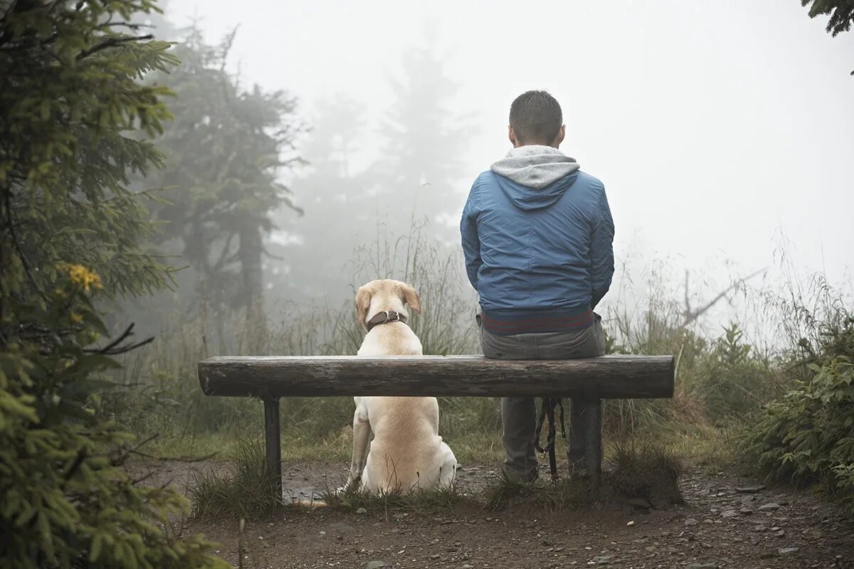 Почему тяжело выходить. Человек с собакой. Парень с собакой на скамейке. Одинокий парень с собакой. Одиночество животные.