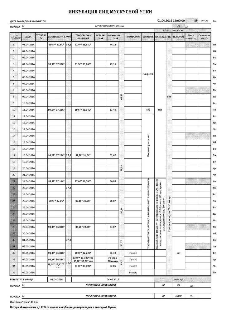Режим инкубации блиц. Режим инкубации мускусных уток в инкубаторе таблица. Таблица инкубации утиных яиц индоутки. Таблица икубации мускус утки. Таблица инкубации мускусных уток в инкубаторе блиц.