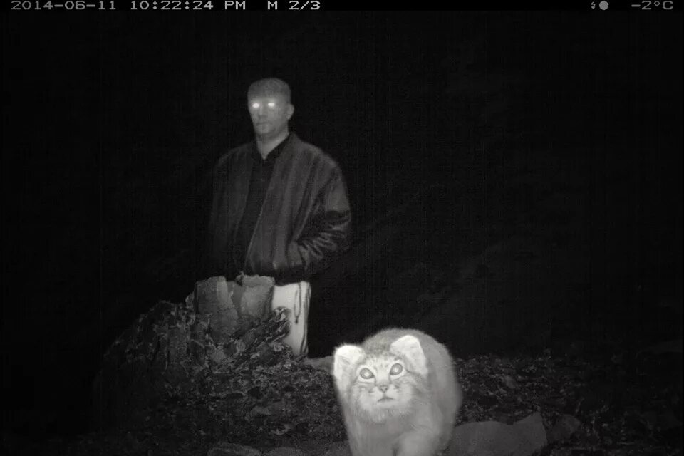 странные существа в лесу ночью. человек ночью на улице. человек под окном ночью. страшные существа в тесноте. монстр ночная прогулка тревор хендерсон.