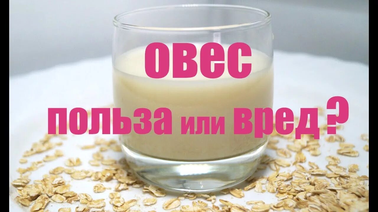 Овес и поджелудочная железа и печень. Отвар из овса. Овес польза и вред. Овес для поджелудочной. Овес польза.