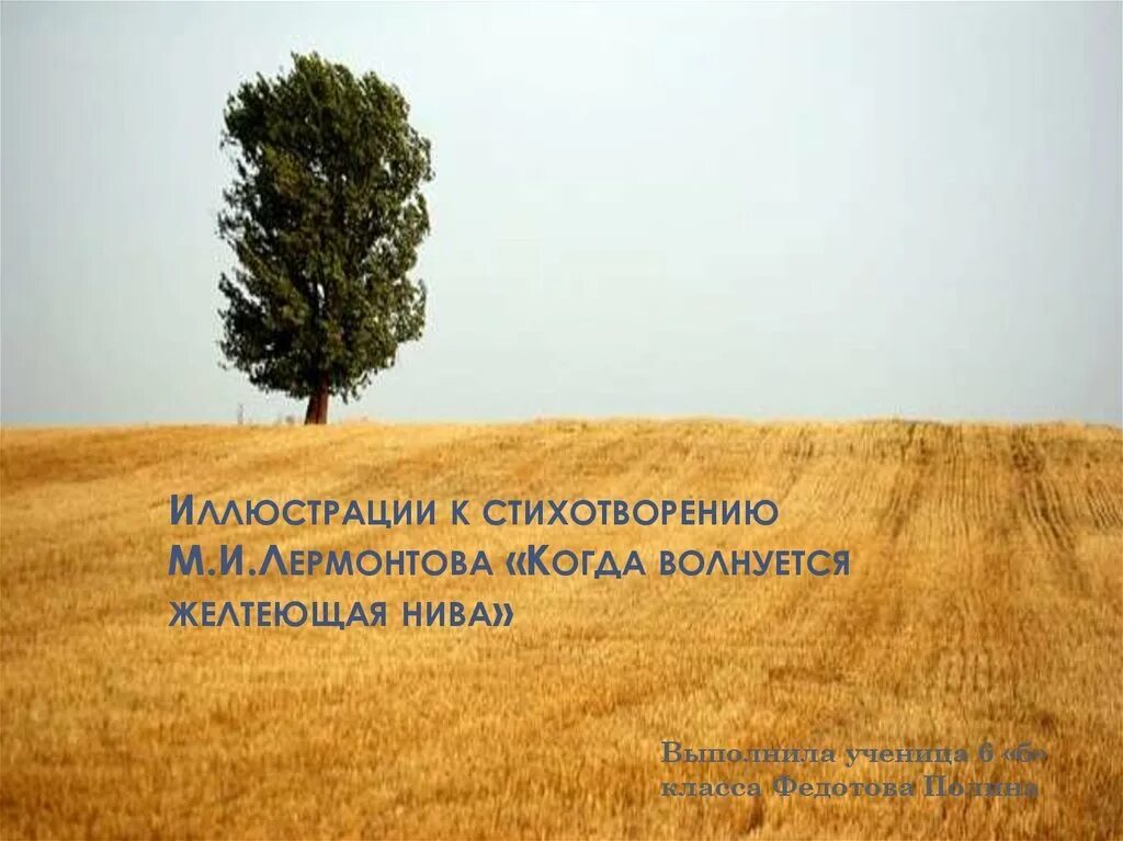 Когда волнуется желтеющая нива лермонтов выучить. Когда волнуется желтеющая нива рисунок к стиху.