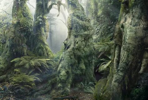 Optical forest