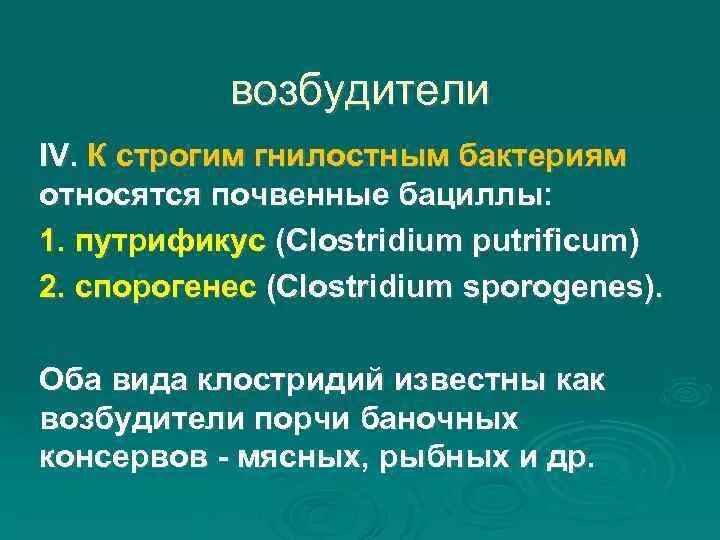 К гнилостным бактериям относятся