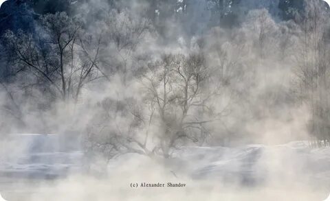 From the fog 1.12 2