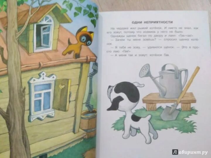 Слушать сказку гав. Котенок по имени гав. одни неприятности остер г.. котенок по имени гав сутеев. котенок гав одни неприятности. г.остер котенок по имени гав.