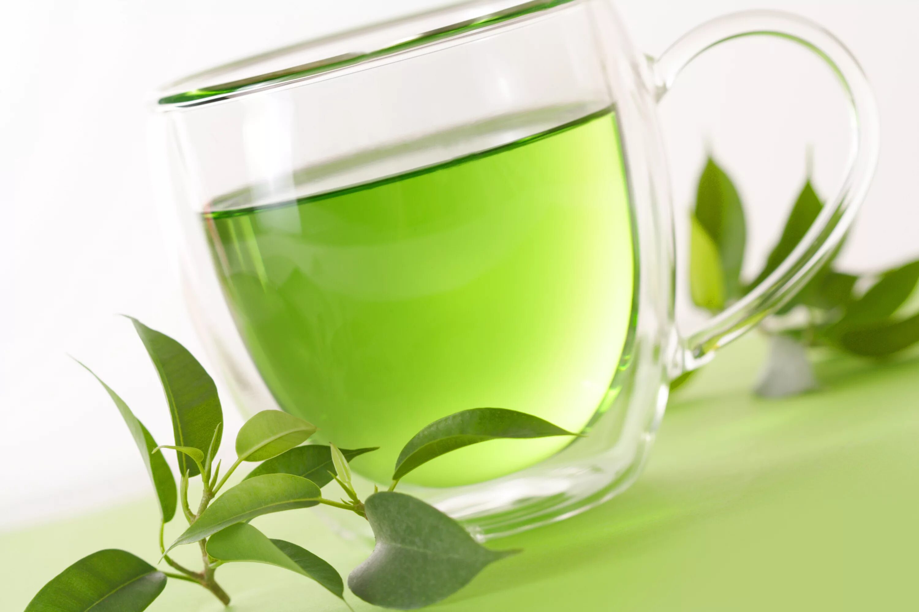 Греен Теа чай. Зеленый чай Green Tea. Чашка зеленого чая. Чашка с зеленым чаем.
