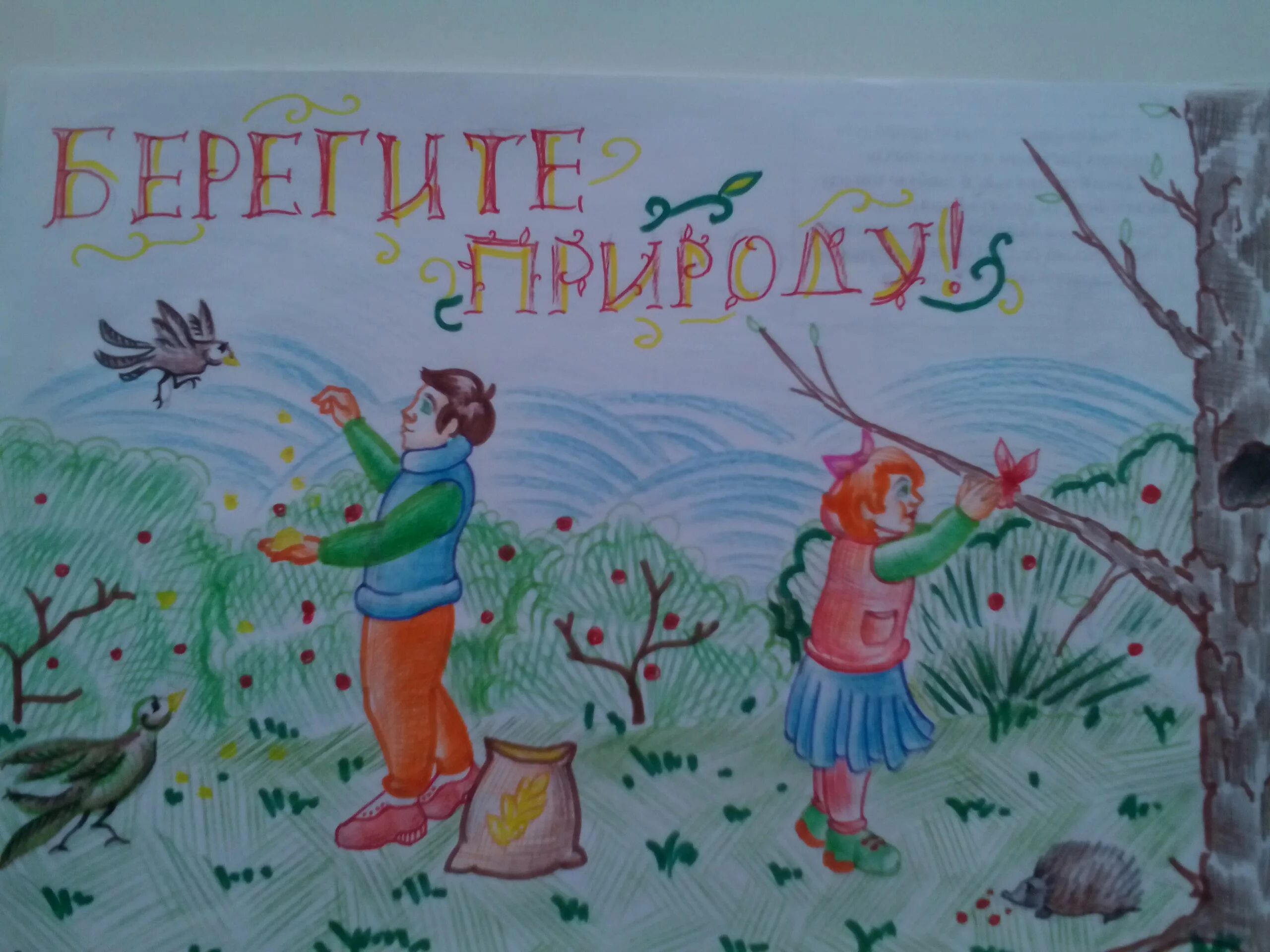 Рисование берегите природу старшая группа. Берегите природу. берегите природу картинки. плакат береги природу. плакат на тему защита природы.