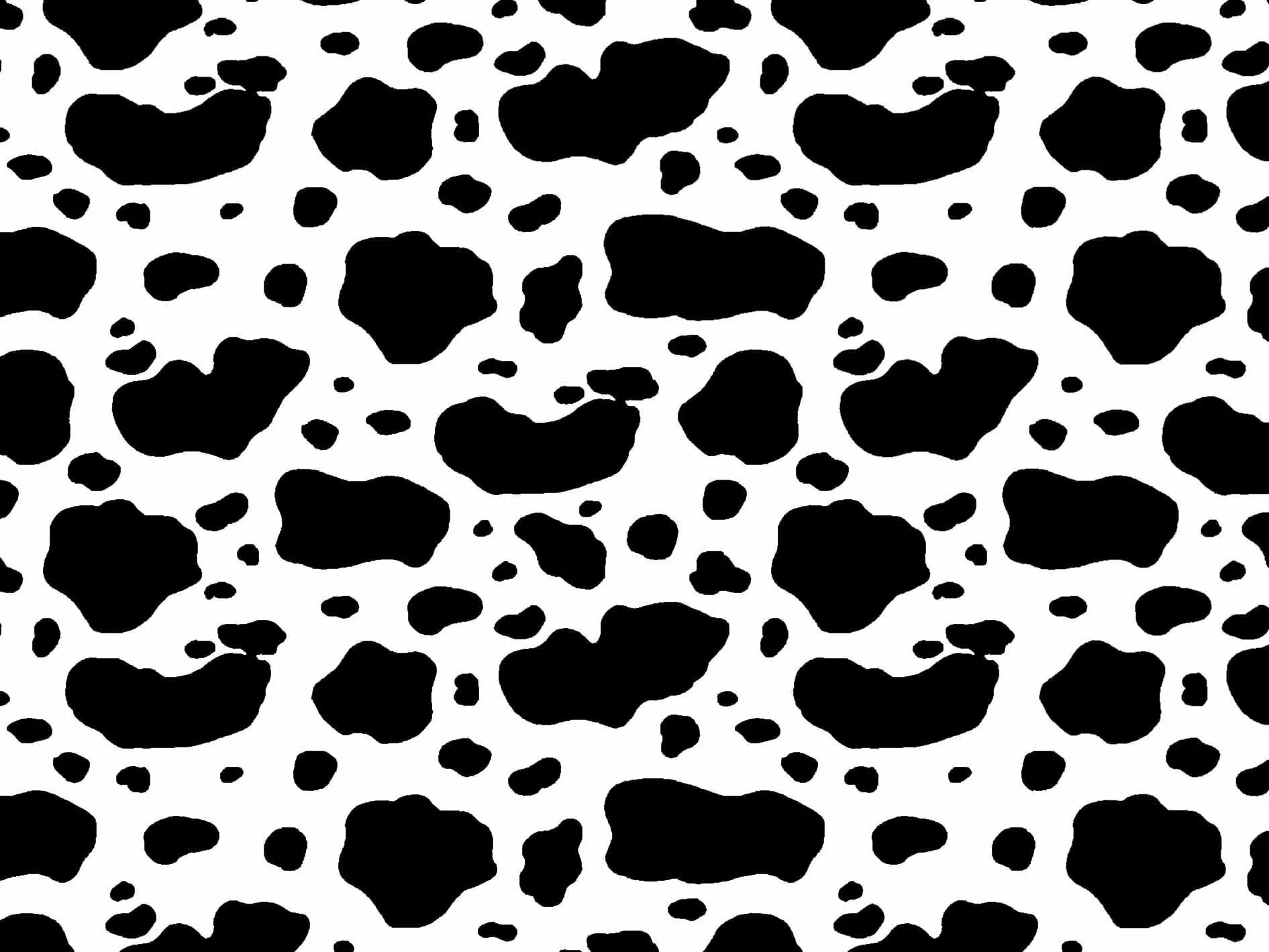 Пятна коровы. Абстракция брызги. Белые обои пятна. Принт коровы. Белые обои пятна.