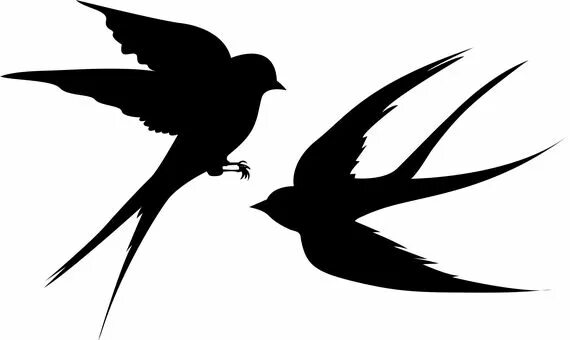 Pin by Таміла М on шаблоны Bird drawings, Bird coloring pages, Drawing pictures 
