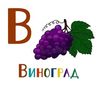Буква в виноград