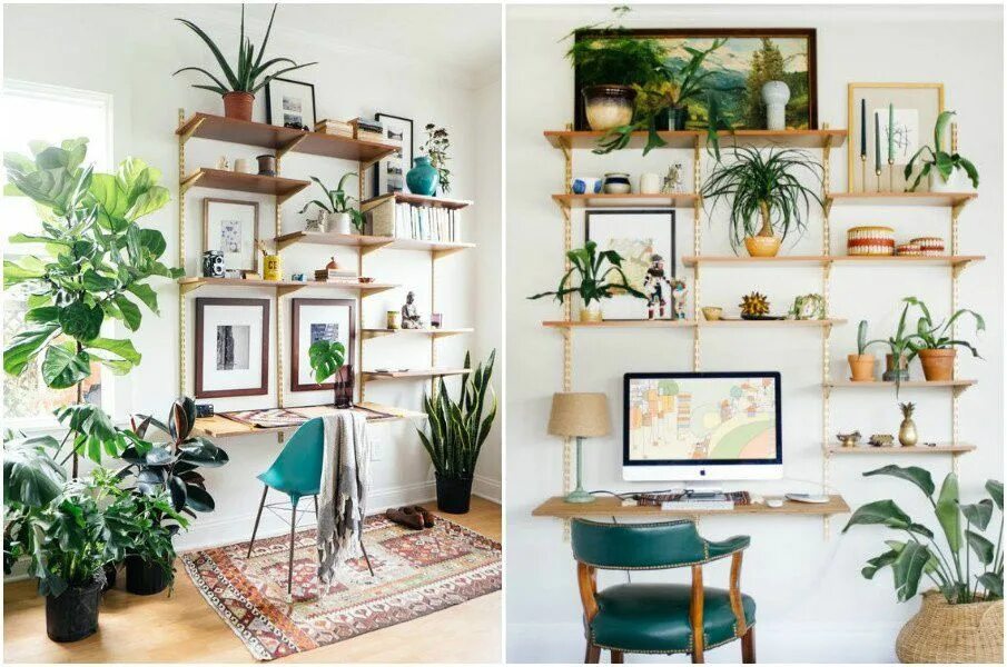 Комнатные цветы в интерьере. Комнатные цветы в интерьере. Комната с растениями. Растения в интерьере квартиры. Комнатные растения в интерьере квартиры.