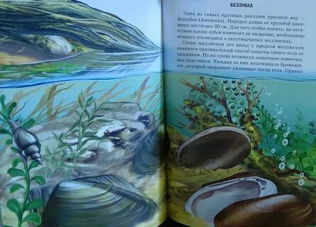 Тест окружающий мир жизнь в пресных водах