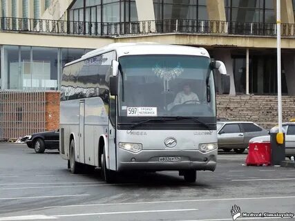 Автобус 597