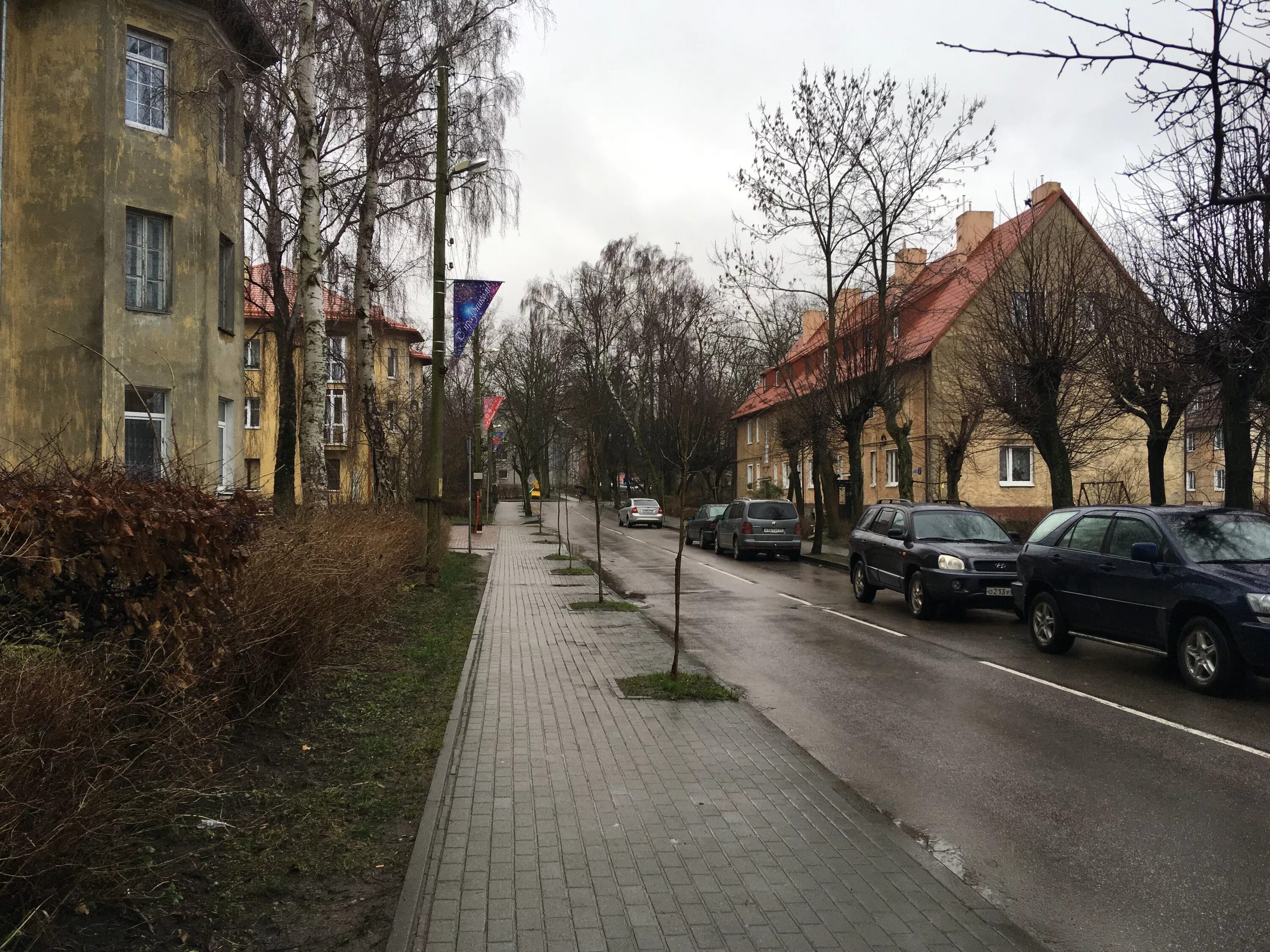 Погода в пионерском калининградской на 10. Г.Пионерск Калининградской области. Поселок Пионерский Калининградской области. Калининградская область г Пионерский Калининградское шоссе 29. Город Пионерский Калининградская область достопримечательности.