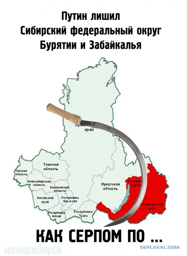 Сфо информация