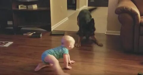 Chase around