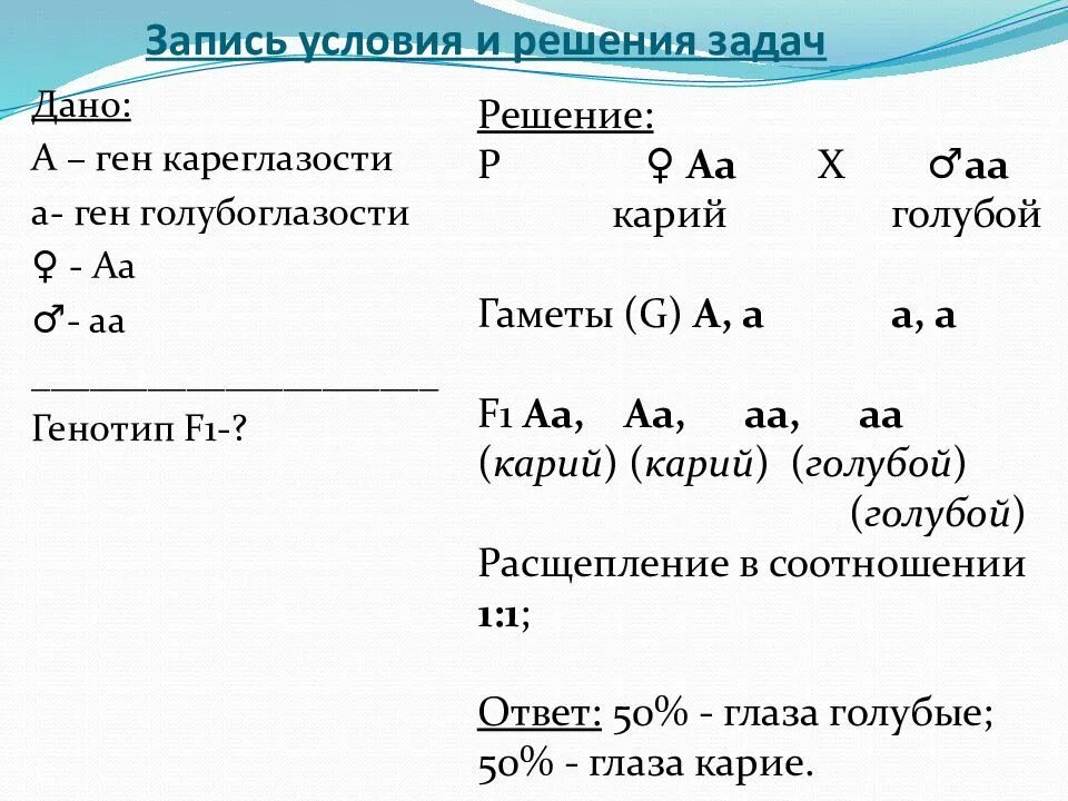 10 класс решение генетических задач. Задачи по генетике. Решение задач по генетике. Оформление задач по генетике. Как решать задачи по генетике.