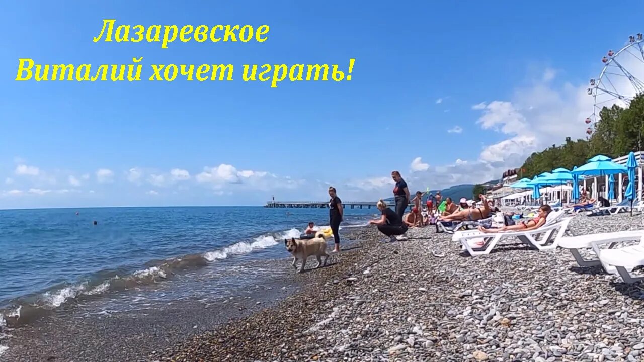 Лазаревское море 2024. Лазаревское видео обзор 2024. Лазаревское 2022. Пляж морская звезда в лазаревском. Лазаревское с высоты.