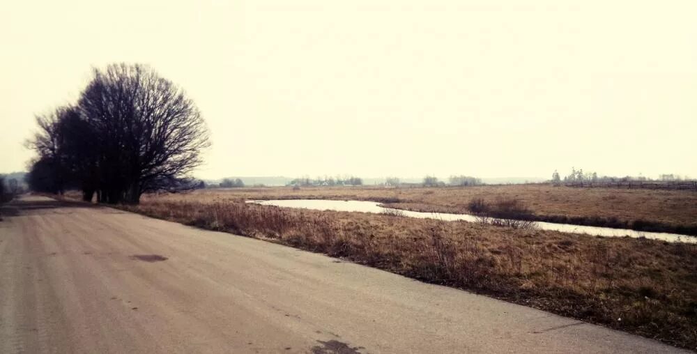 земли п 1. поселок ледянка свердловская область. посёлок озерки ленинградская область. участок в калининграде. земли п 1.