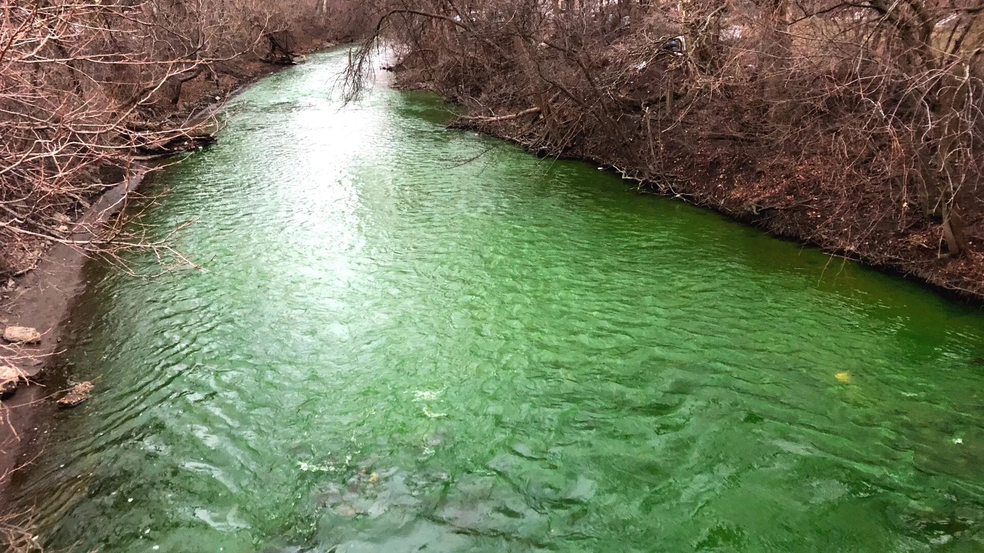Лаба зеленая. Green River река. Река Грин Ривер тела. Зеленая речка. Зеленая вода в реке.