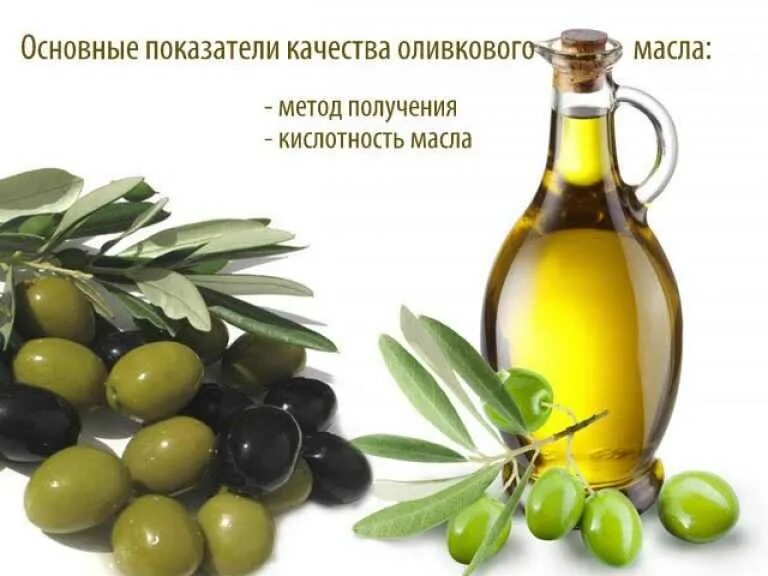 Чем отличается оливковое масло. Оливковое масло. оливковое масло показатели качества. испорченное оливковое масло. оливковая масло в лечебных.