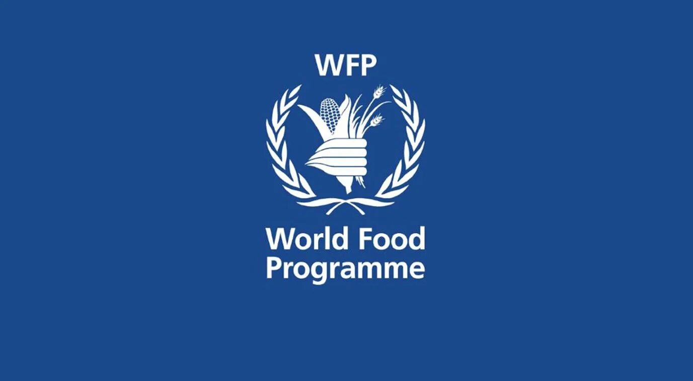 Продовольственная оон. Всемирная продовольственная программа. Продовольственная программа ООН. WFP логотип. Всемирная продовольственная программа ООН (ВПП).