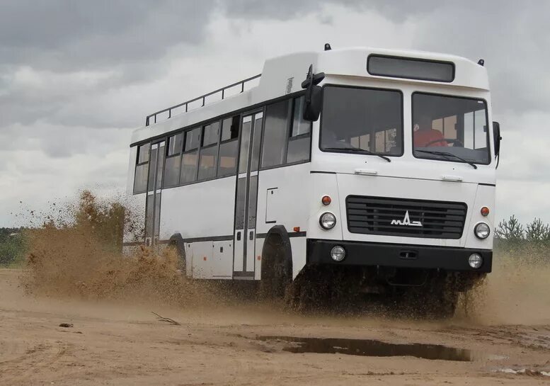 Маз-544028-520-031. С65. Маз 100 км. Маз 6312 бортовой. Маз 6312 бортовой зерновоз.