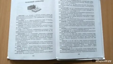 Теория параграфа