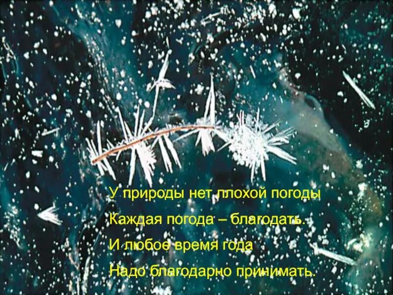 Любая погода песня. У природы нет плохой погоды картинки. Открытки у природы нет плохой погоды. Открытки у природы нет плохой. У природы нет плохой погоды доброго дня.