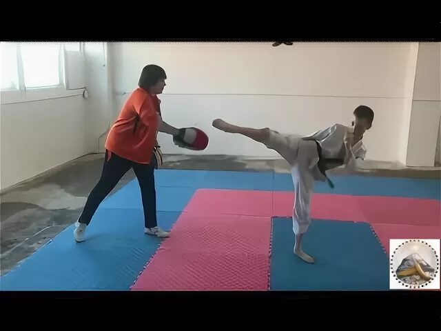 Пит чаги