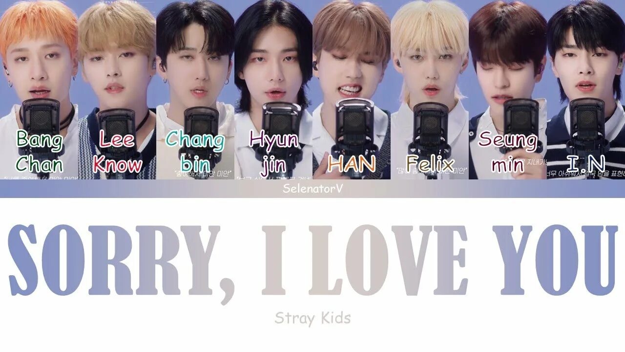 Стрей кидс лов. Sorry i Love you Stray Kids. Sorry i lkve youобложка Stray Kids. Stray Kids sorry i Love you обложка. Торт i Love Stray Kids.